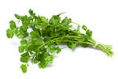 How Do YOU Feel About Cilantro?
