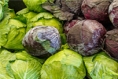 Is Cabbage the New Kale?